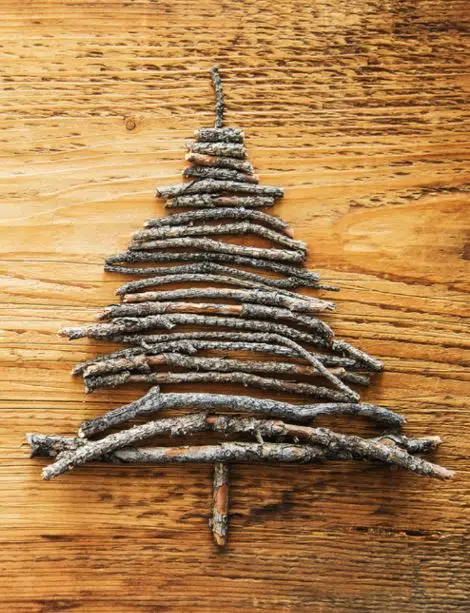 sapin_ecologie_design