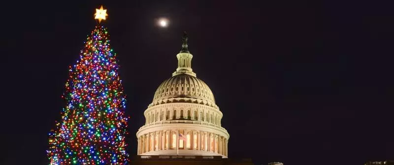 sapin-etats-unis